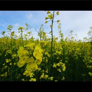 Meet your Posher, Mi